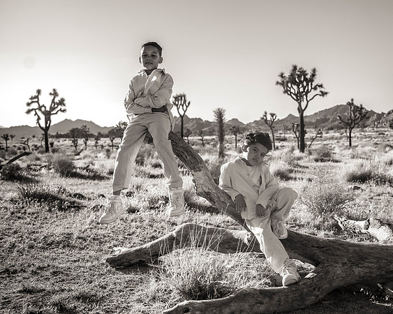DSC_3662