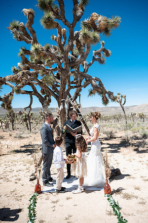 DSC_4730