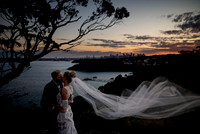 Artistic - Bride groom vail in wind