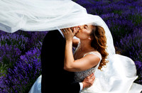 Artistic Bride kiss groom with flowing vail