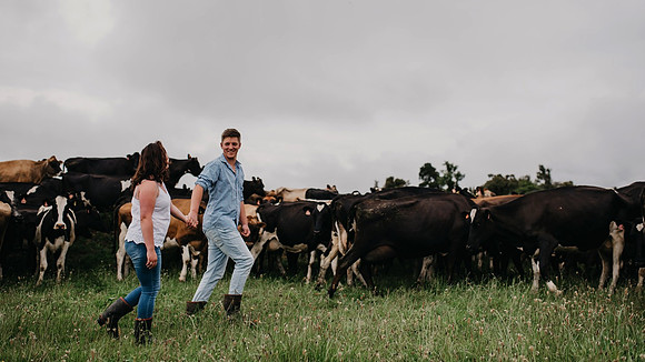 Engagement 12 with cows